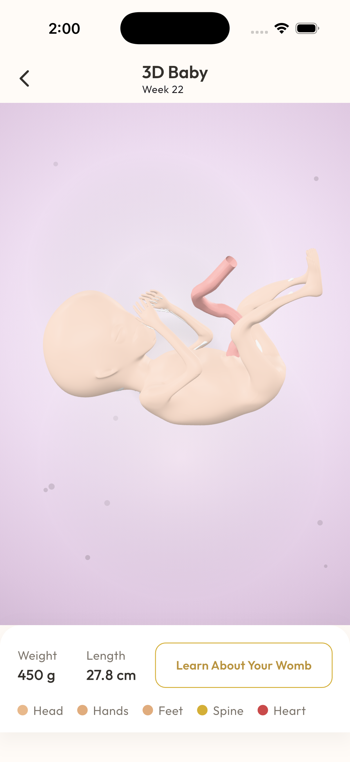 MaaSphere 3D Baby Viewer screen showing a rotatable 3D fetal model with weekly stats