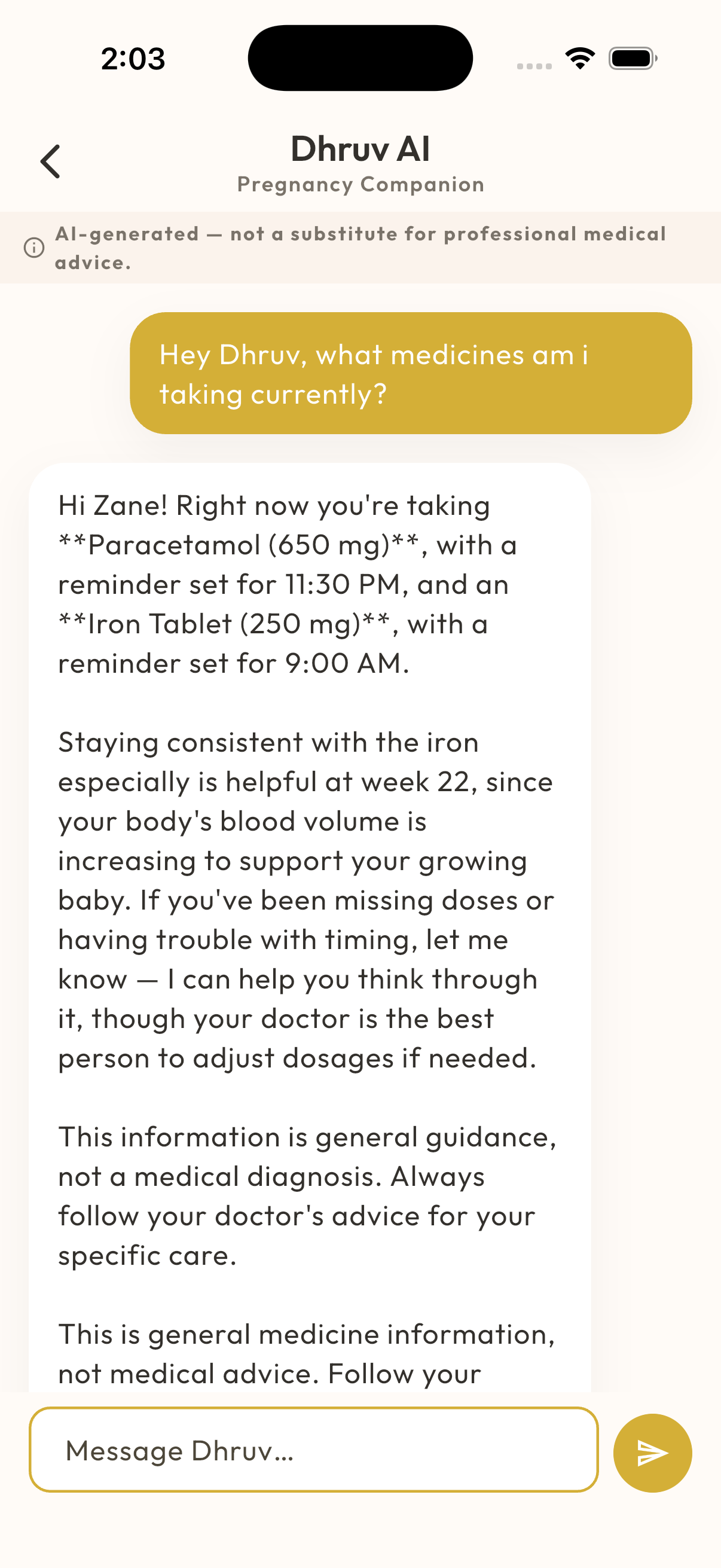 MaaSphere Dhruv AI chat screen showing a natural conversation