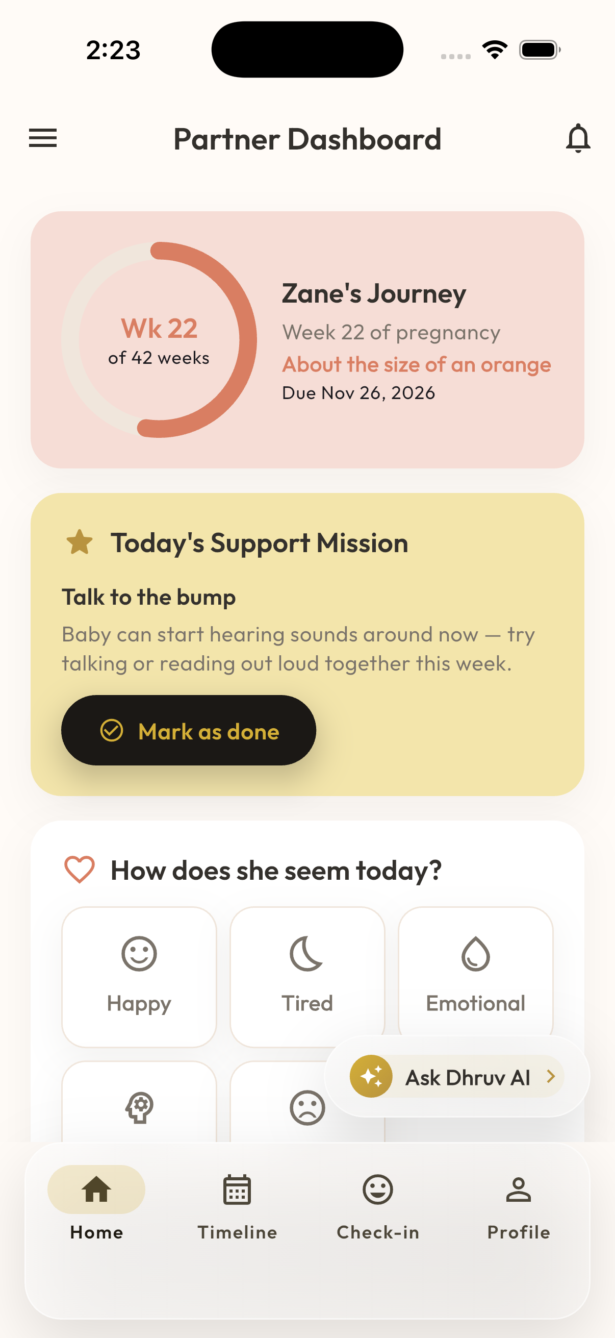 MaaSphere Partner Dashboard screen showing pregnancy progress, a daily support mission, and weekly stats